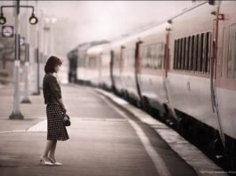 thong-minh-khong-chua-duoc-dao-duc