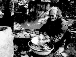 bai-hoc-ve-me-gia-rua-chen