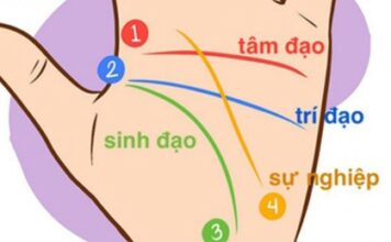 Người sở hữu bàn tay chữ nhất có gì đặc biệt?